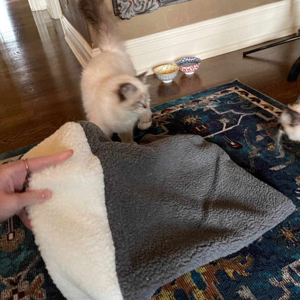 Kitty Cat Burrow Bag